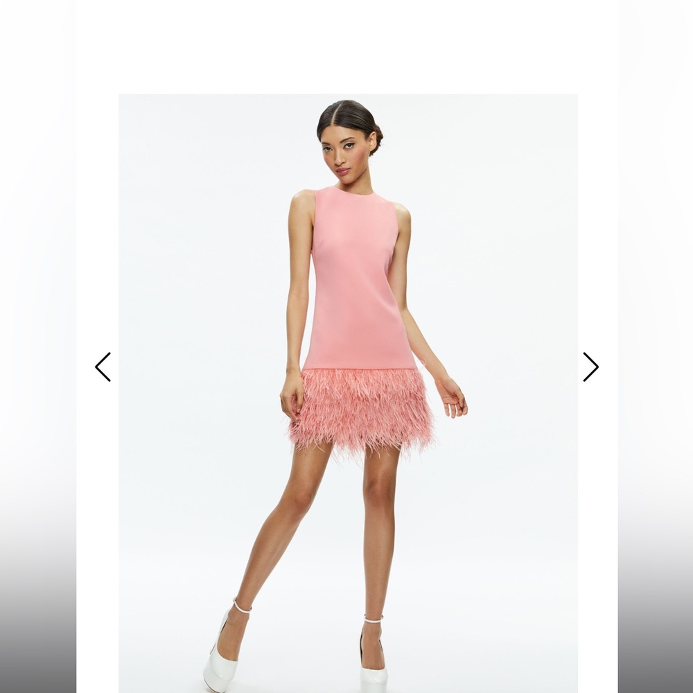Alice And Olivia Coley Feather Dress